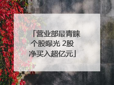 营业部最青睐个股曝光 2股净买入超亿元